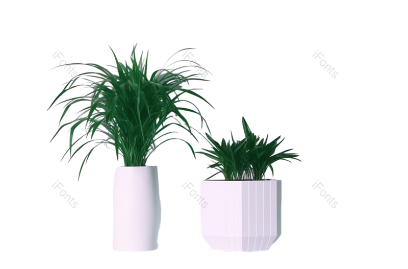 叶子图片,装饰元素,清新PNG,摄影免抠素材